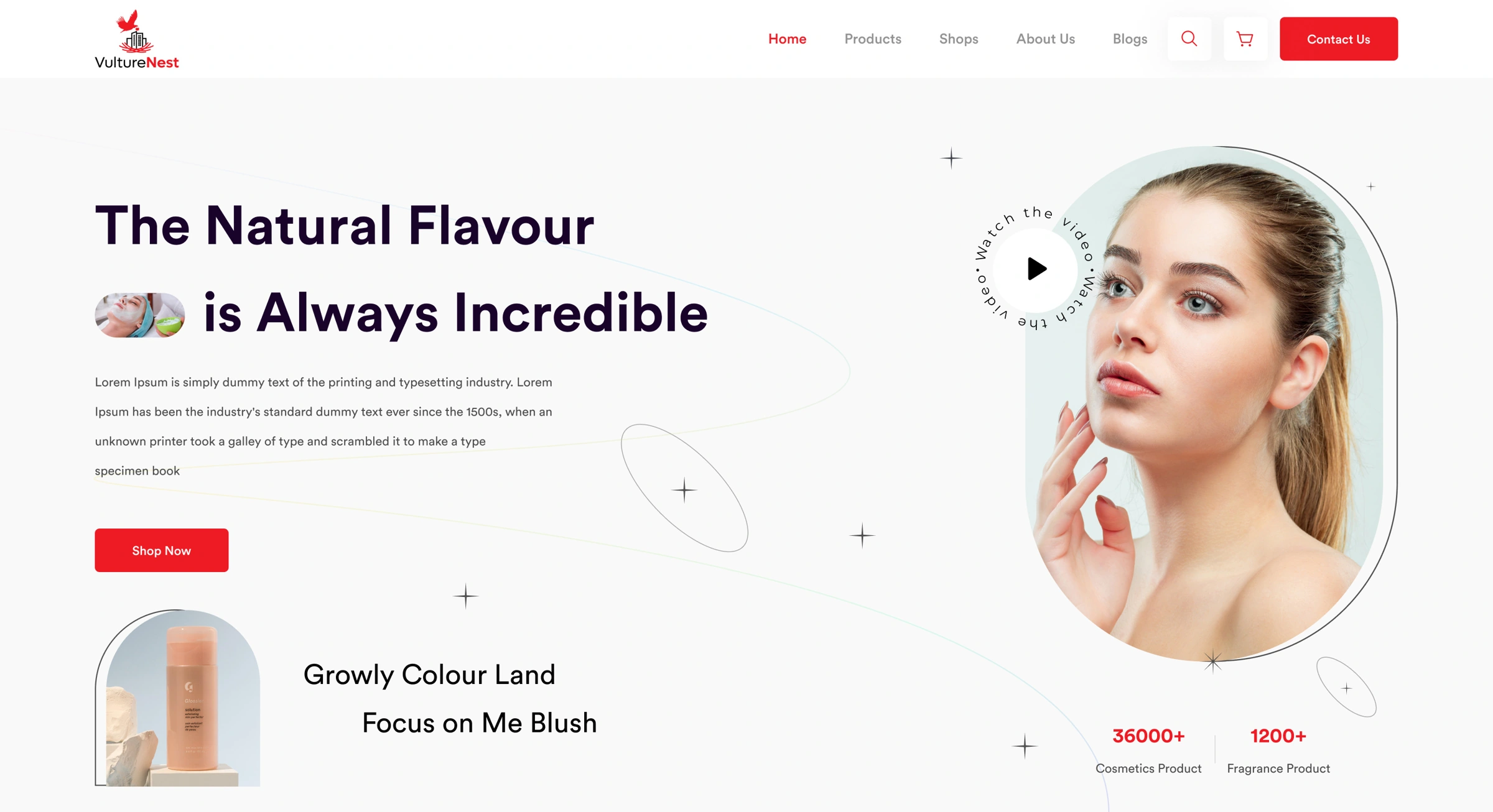 VultureNest website hero thumbnail